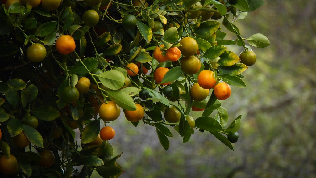 AGע�������(�й�)������ҳ