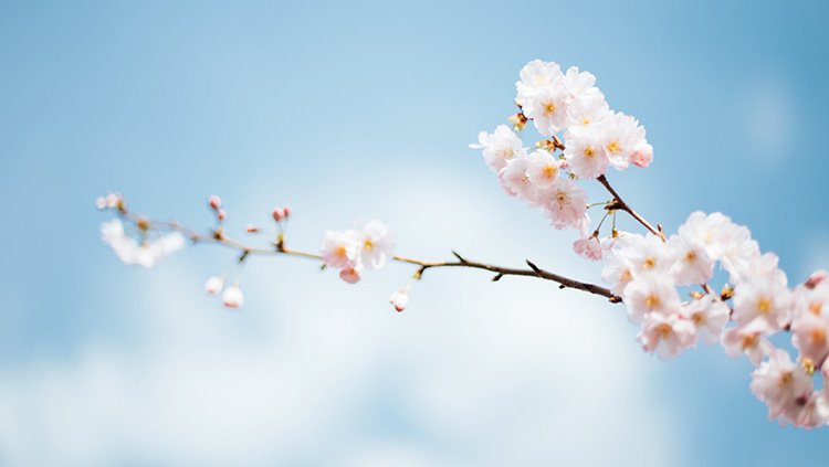 AGע�������(�й�)������ҳ