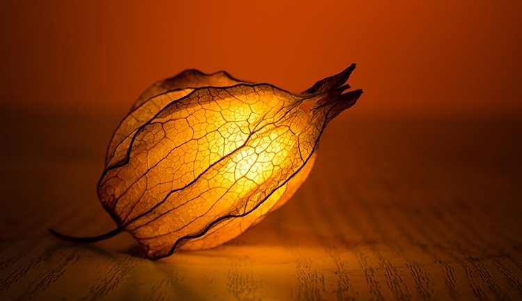 AGע�������(�й�)������ҳ