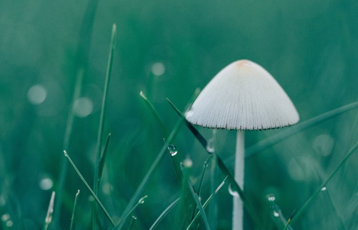 AGע�������(�й�)������ҳ