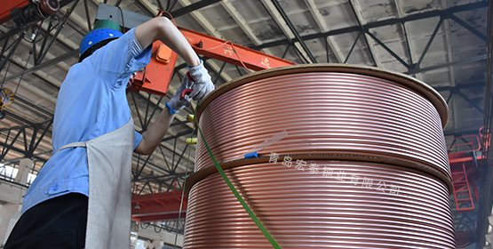 ���Ƶ���֤ϵͳ